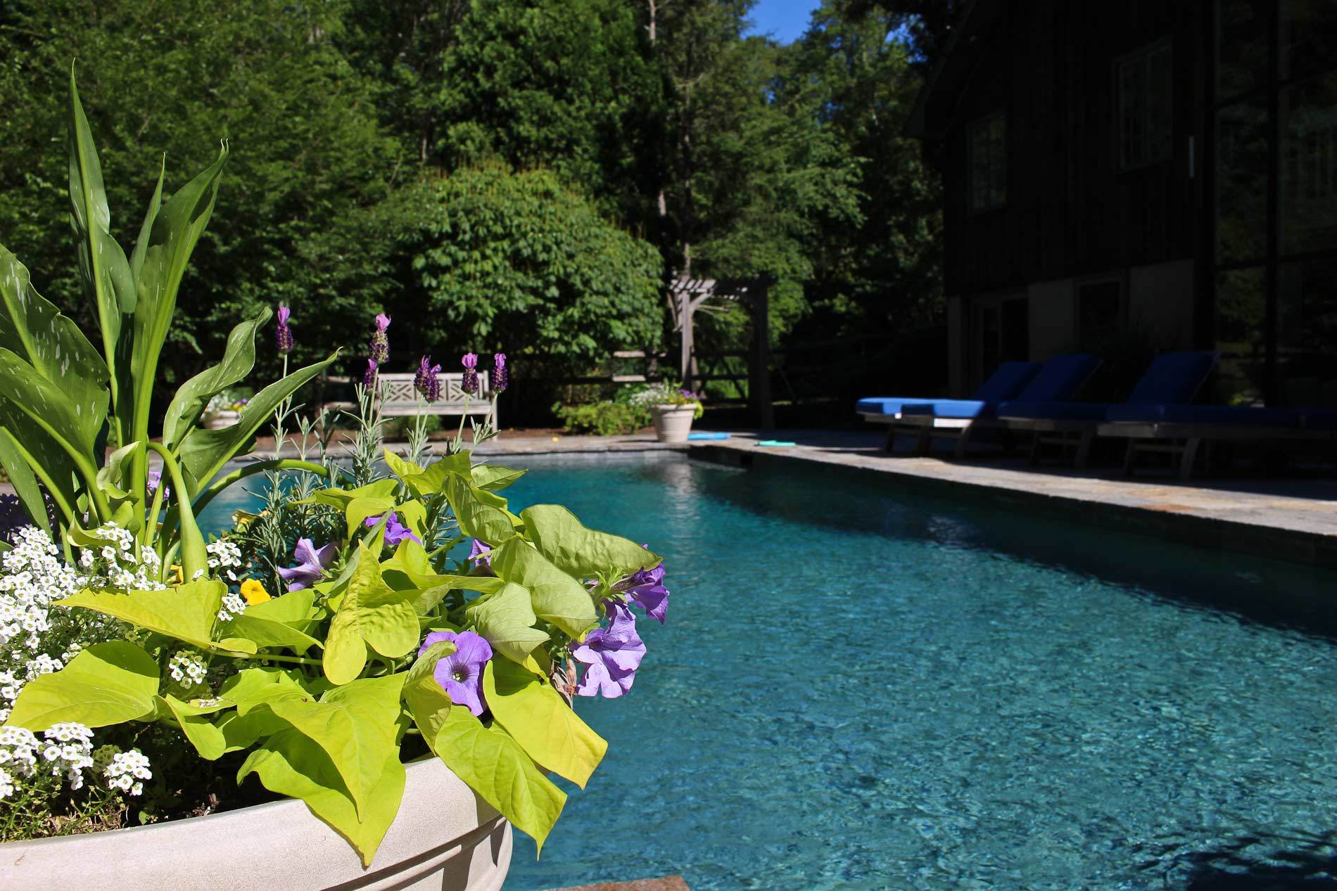 Homes with Swimming Pool for Sale in Bridgeport CT Find and Buy Houses