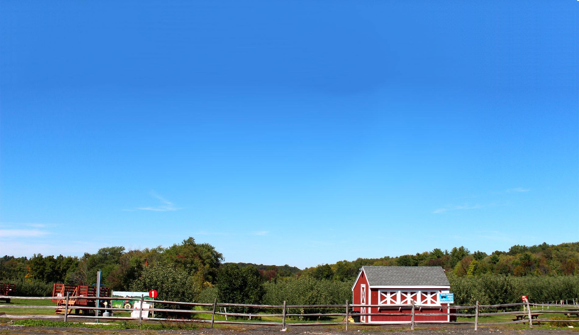 Best Places to Live in Bethel CT Moving Tips, Top Neighborhoods and