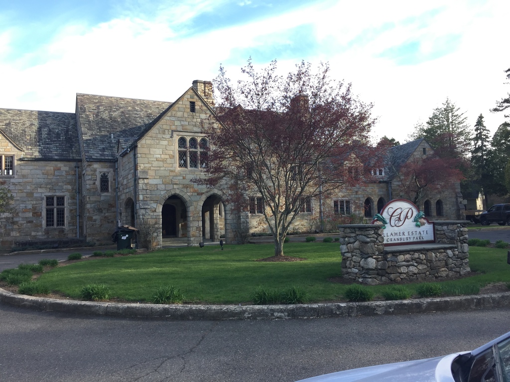 cranbury AND park Dog Walking and Frisbee Playing...Cranbury, Norwalk