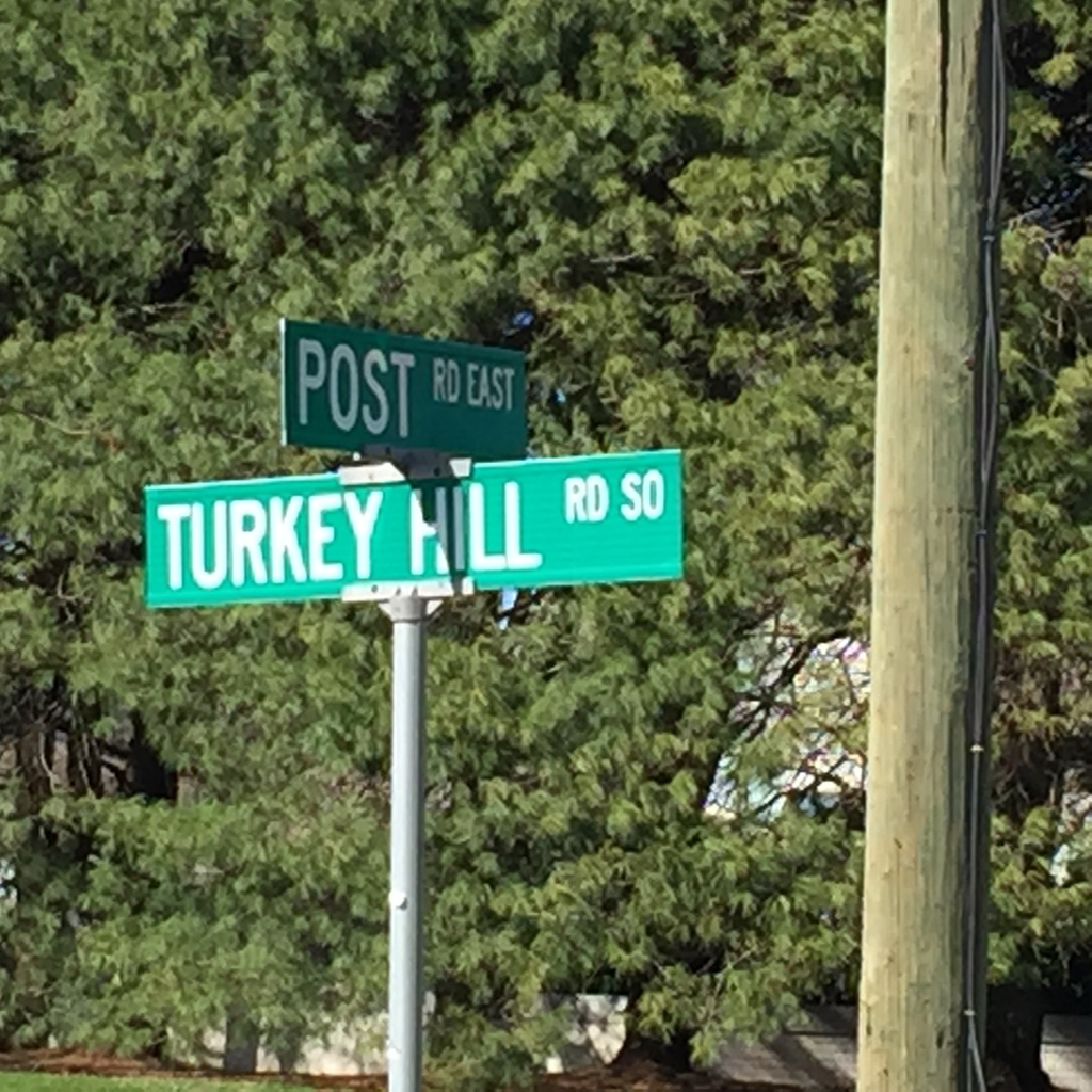 GREENS FARMS...PERFECT LITTLE NEIGHBORHOOD IN WESTPORT, CT Dagny's