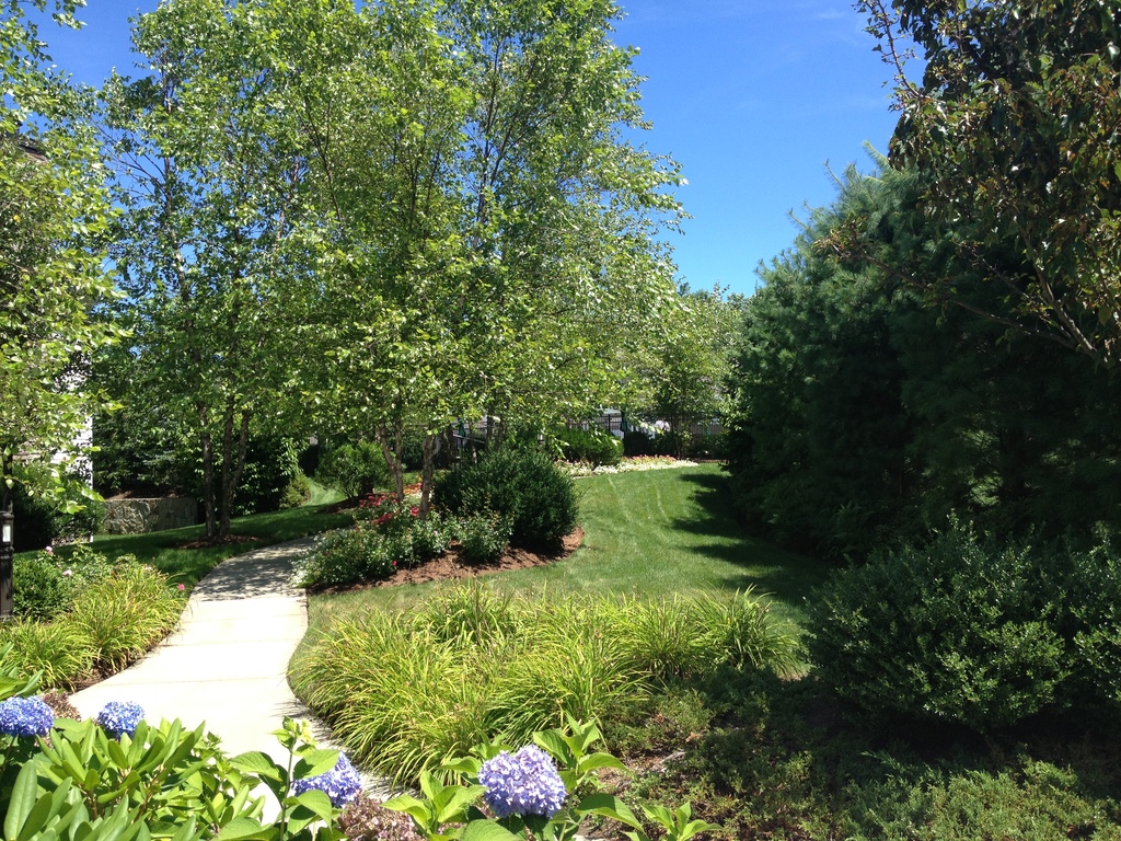 Terra Nova Circle, from Post Road to Hills Lane, Westport, Connecticut