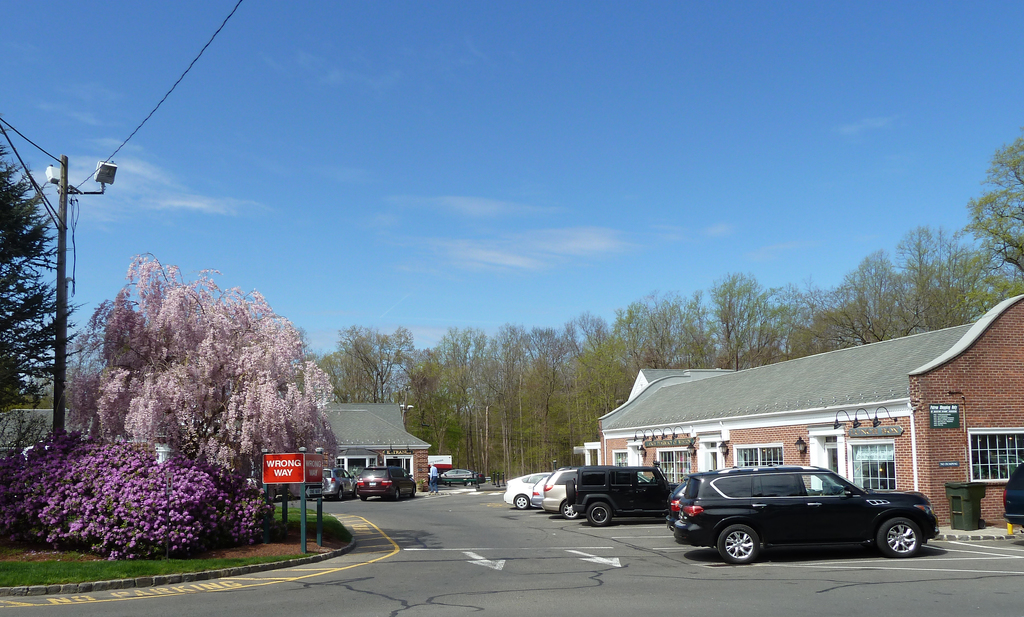 WHAT IS MY HOME WORTH? WESTON, CT 06883 JUNE 2015 Dagny's Real Estate